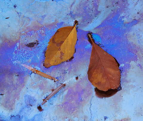 Metallic Autumn