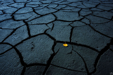 Alone