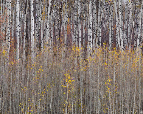 2018_1006_0256