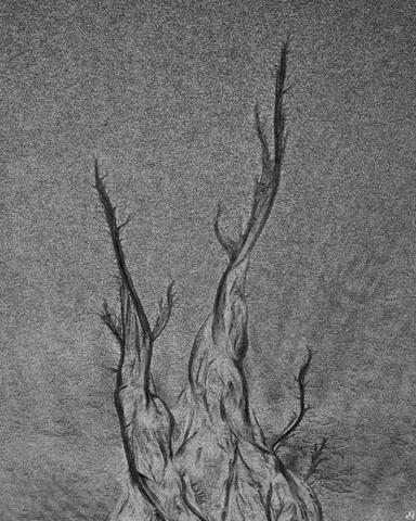 2023_0522_0044bw