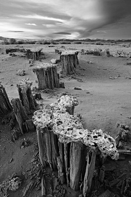 Sand Tufas