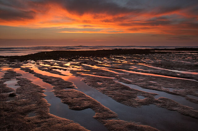 Sunset Lines
