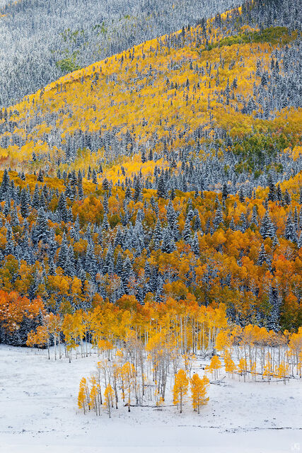 Autumn Dream