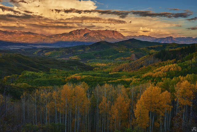 aspen, fall, autumn, Colorado