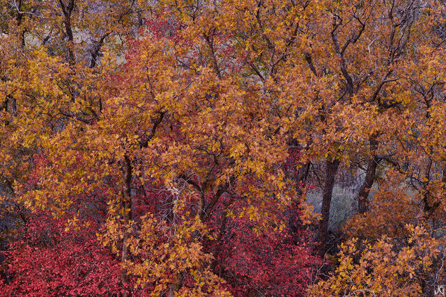 Autumn 2018: Zion National Park