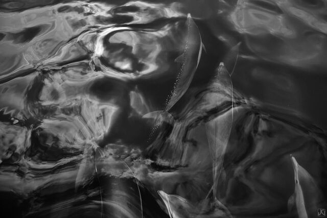 Dimensional Depths