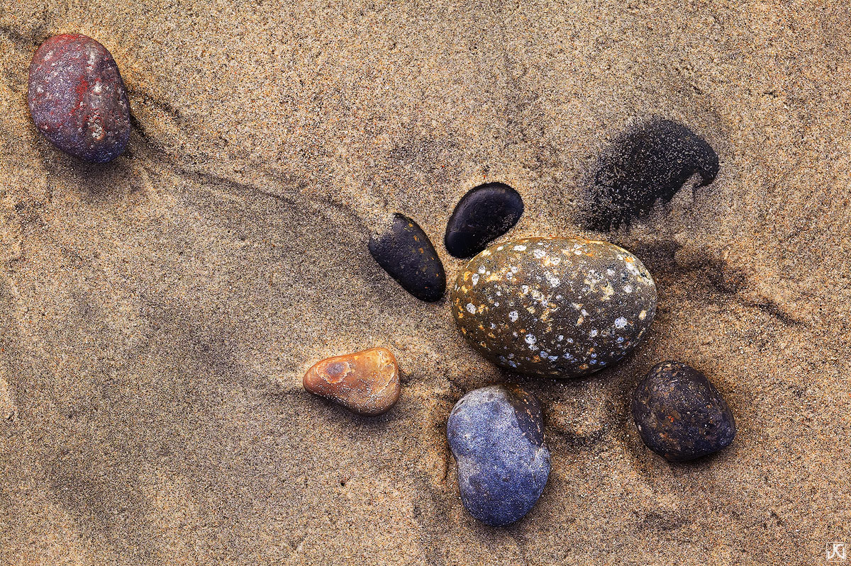 The morning meeting takes on a new meaning along the coast of northern San Diego County.&nbsp;