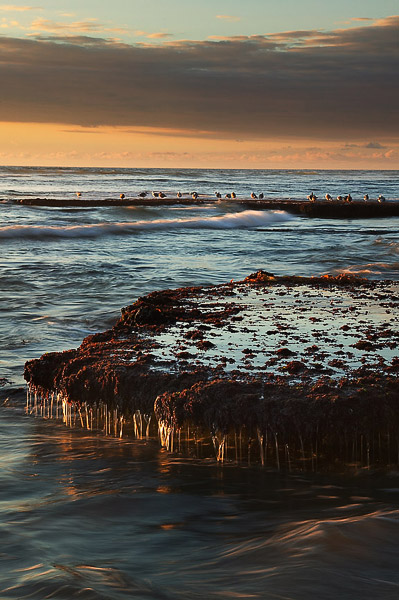 During low tides, this sea shelf has it's own unique waterfall system and is highlighted by the last light of the day.