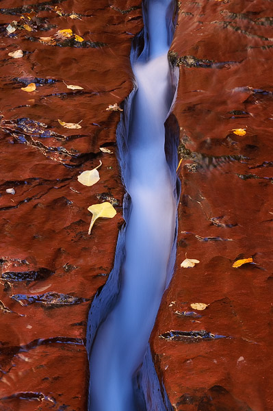 Water flows through a crack or groove in the stream bed of the Left Fork in Zion's backcountry.