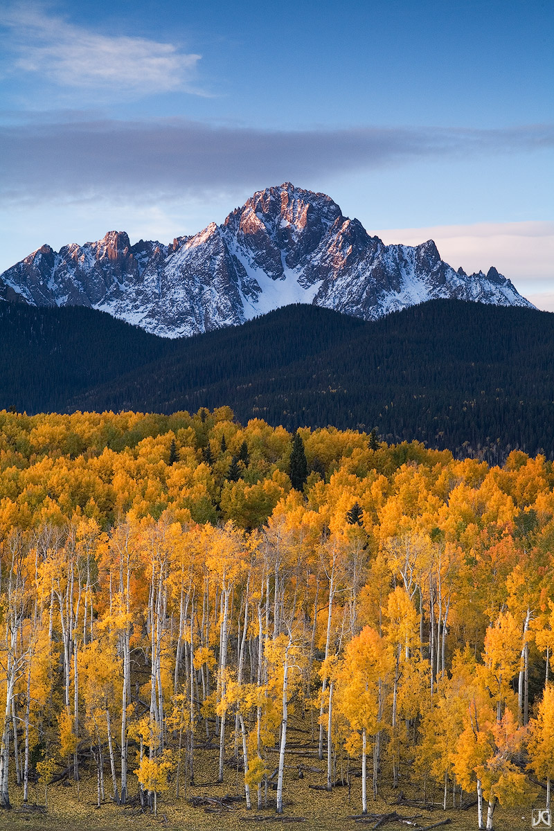 The colorful autumn aspen forest below Mt Sneffels glows in the early morning light.&nbsp;