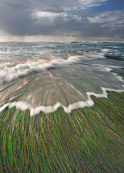 The incoming tide flows nicely over this patch of sea grass during low tide.