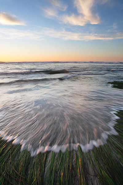 Incoming tide rushes over this patch of sea grass just before sunset.
