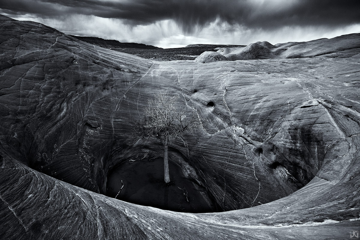 This tree seems to be hiding from an oncoming storm in the Grand Staircase/Escalante National Monument of southern Utah.