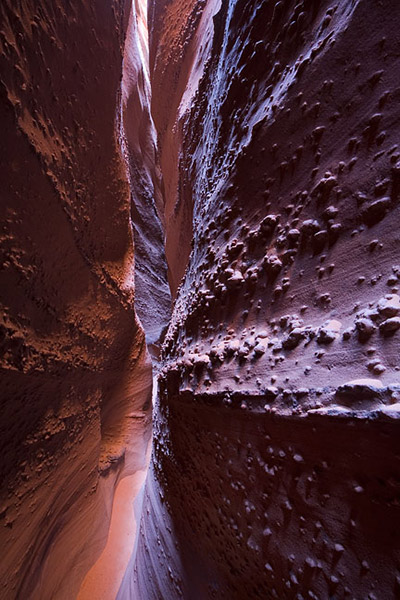 This small and very tight slot canyon in Grand Staircase/Escalante National Monument of southern Utah, has many sections that...