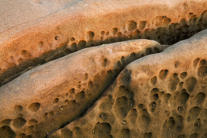 Exposed rock formations along the coastal areas of La Jolla, California, have wonderful lines and textures.