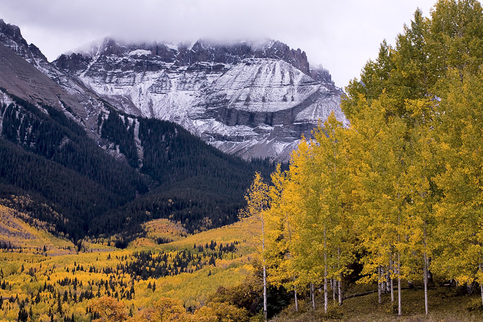 Low clouds mask part of the eastern end of the Sneffels Range and provide soft light on the autumn aspen forest below.