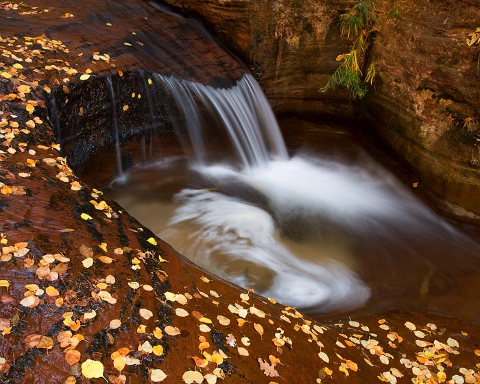 Fall leaves surround this small pool, while water cascades and swirls around on its journey down the Left Fork in Zion National...