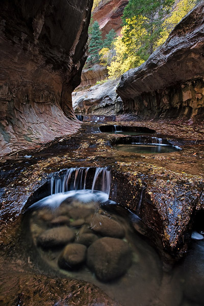 Large potholes in the stream bed create pools and small falls in the Subway section of the Left Fork in Zion National Park.