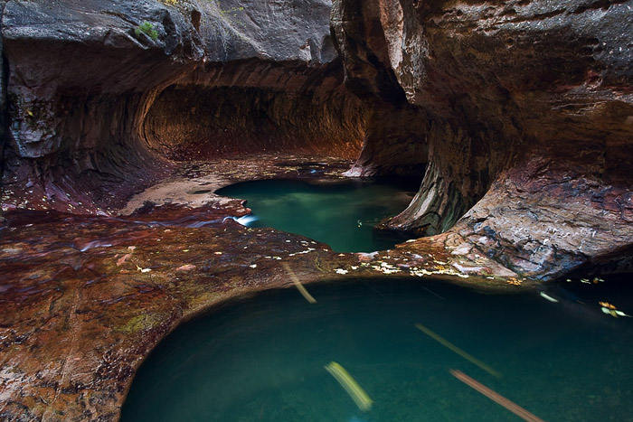 Fall leaves flow through one green pool and towards another in the Subway section of the Left Fork.