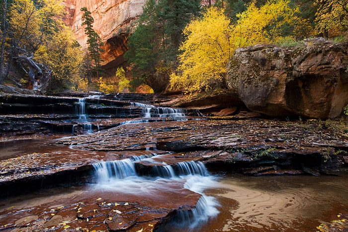 Wonderful autumn colors above and around Archangel Cascades in Zion's backcountry.