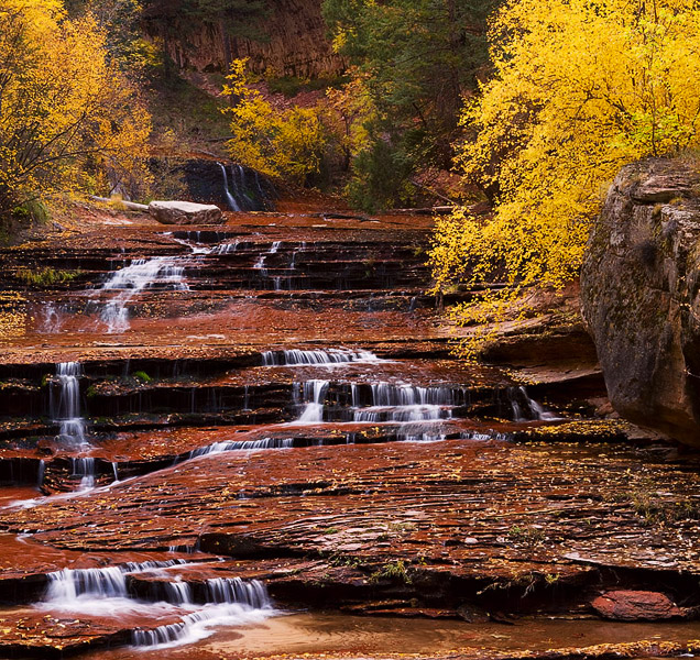 Autumn colors surround Archangel Cascades in Zion's backcountry.