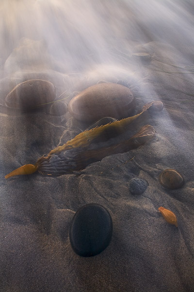 Incoming tide, mixed with soft sunset light, showers down on a colorful selection of coastal rocks and kelp.