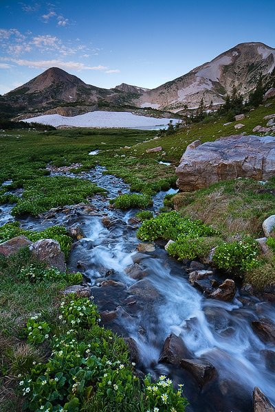 Wildflowers surround a summer cascade, as it flows toward Sugarloaf Peak and Medicine Bow Peak in the Snowy Range of Wyoming.