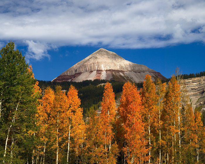 Engineer Mountain sits high above this colorful collection of aspen in different stages of their autumn color change.