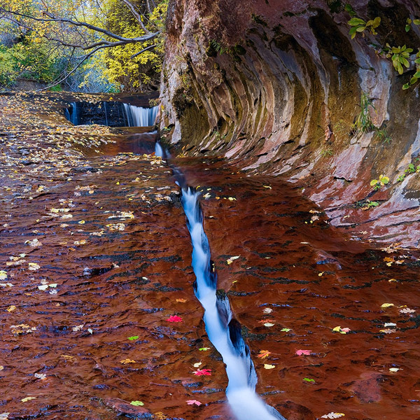 Autumn brings lots of color to the canyons and creeks of Zion National Park. This is a section that many simply call "The Crack...