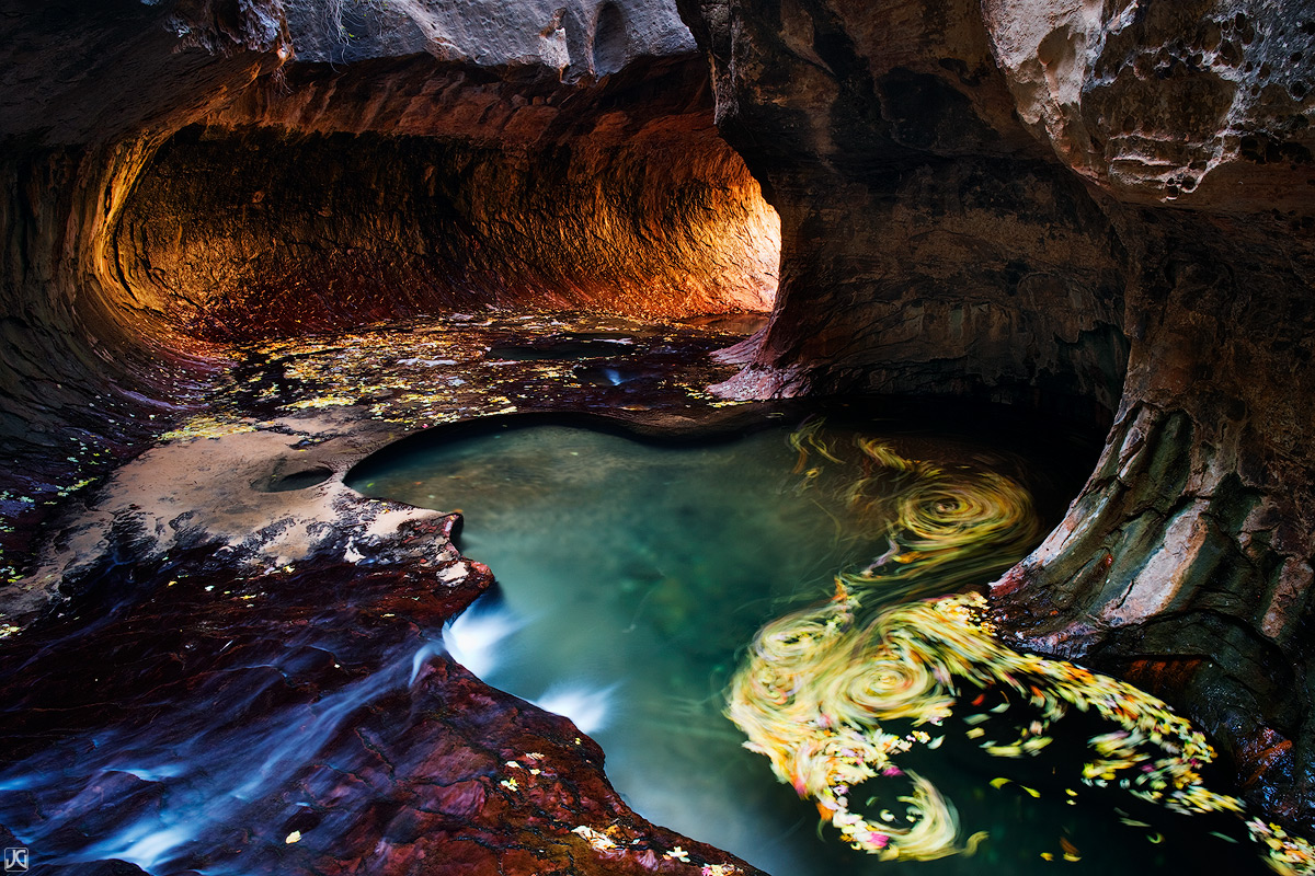 Autumn leaves flow down a backcountry creek in Zion National Park.