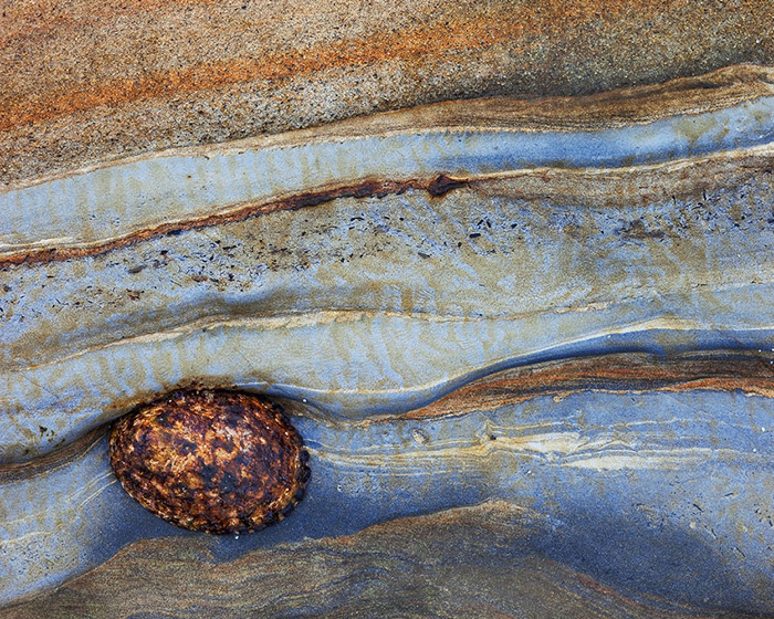 shore, rock, sea, shell, ocean