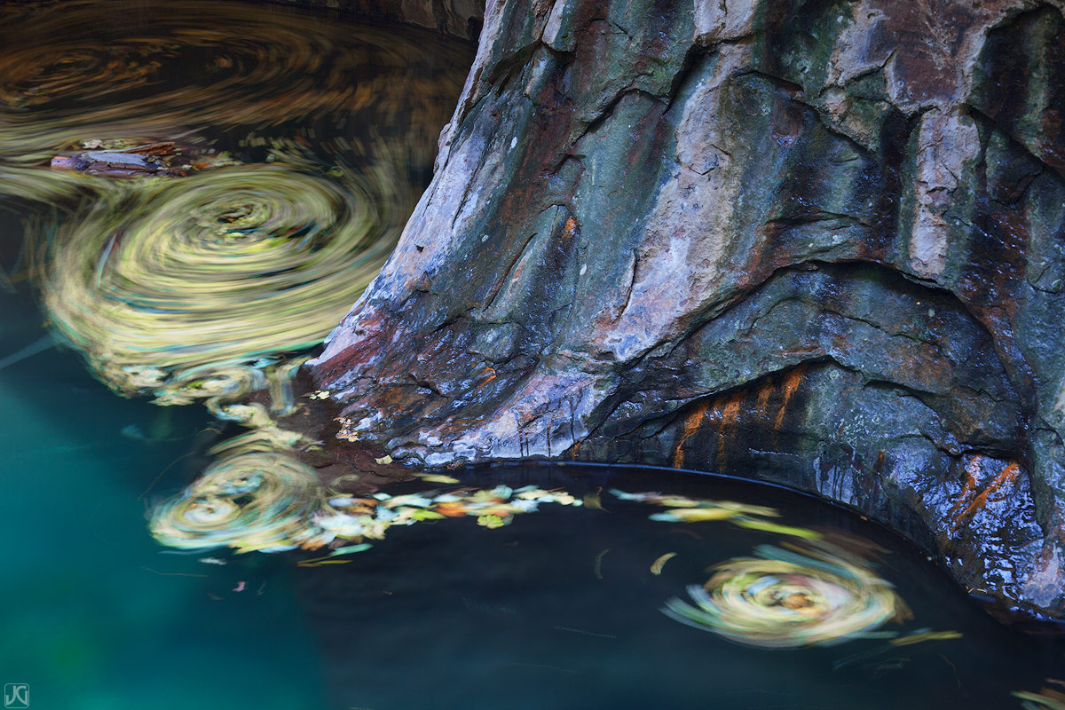 Autumn leaves float down this backcountry stream and into the pools of the Subway in Zion's backcountry.&nbsp;