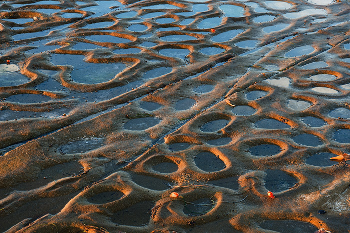 These unique shapes and features, bathed in sweet, soft sunset light, are found in one area of coastline in San Diego County....