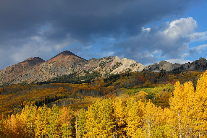 Colorado, aspen, autumn, tree, fall, Kebler, Mt. Owen