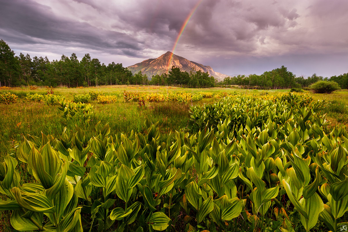 A summer rainbow makes an appearance after an afternoon storm.