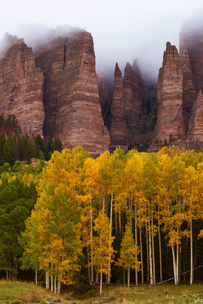 aspen, fall, autumn, Colorado