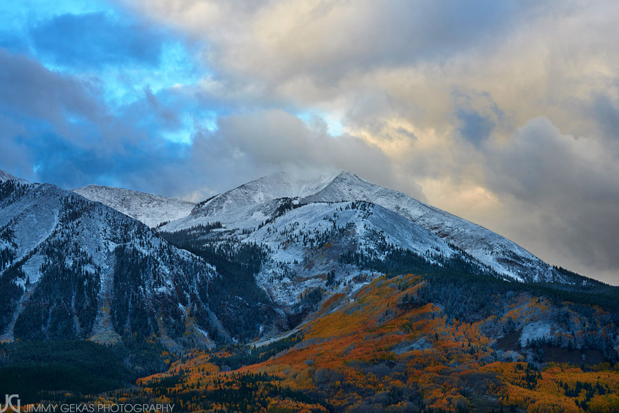 aspen, fall, autumn, Colorado