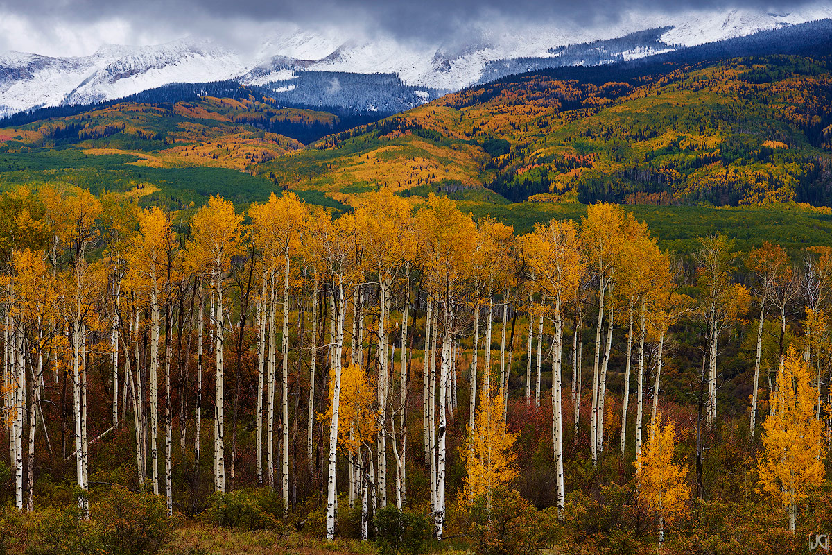 Fall colored aspen trees beneath the Beckwith Mountains near Kebler Pass on a crisp autumn sunset.