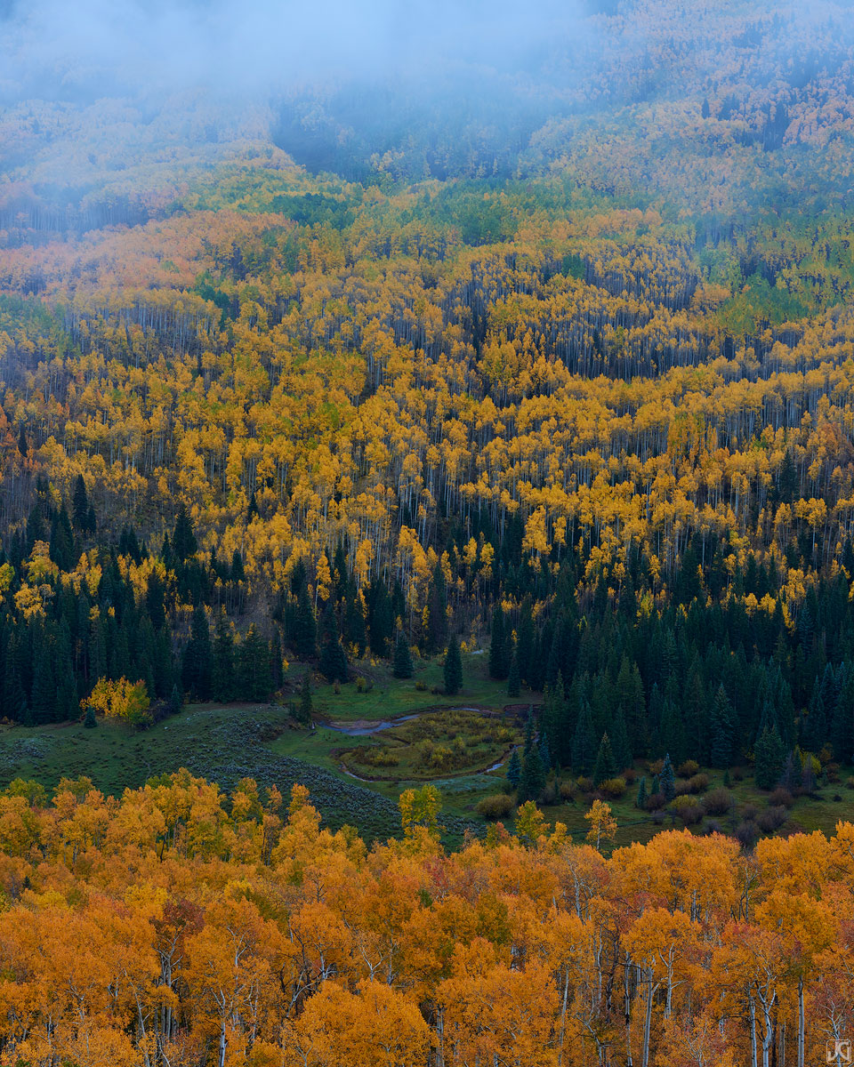 aspen, fall, autumn, Colorado