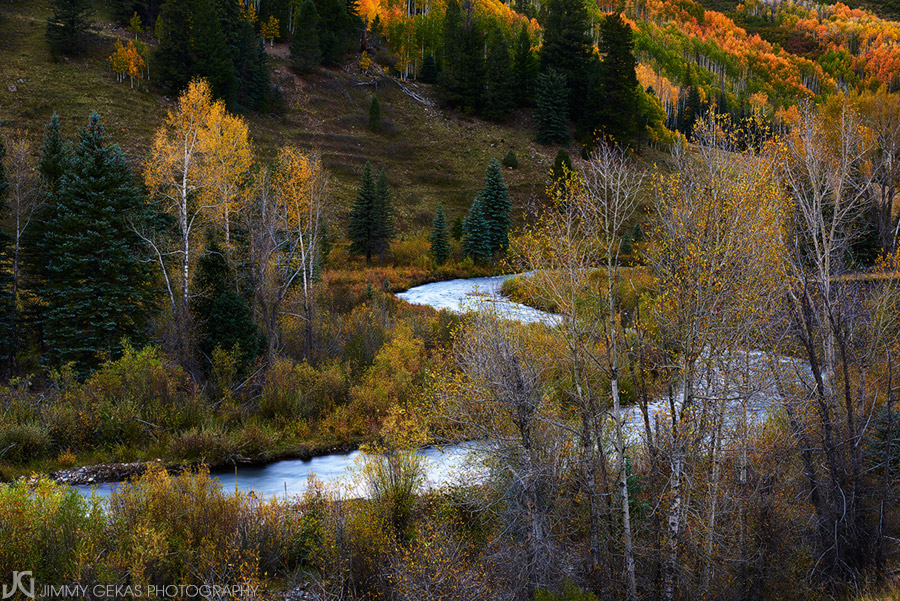 aspen, fall, autumn, Colorado