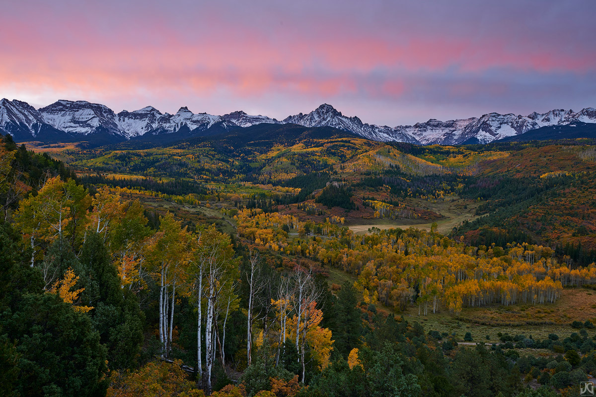 aspen, fall, autumn, Colorado