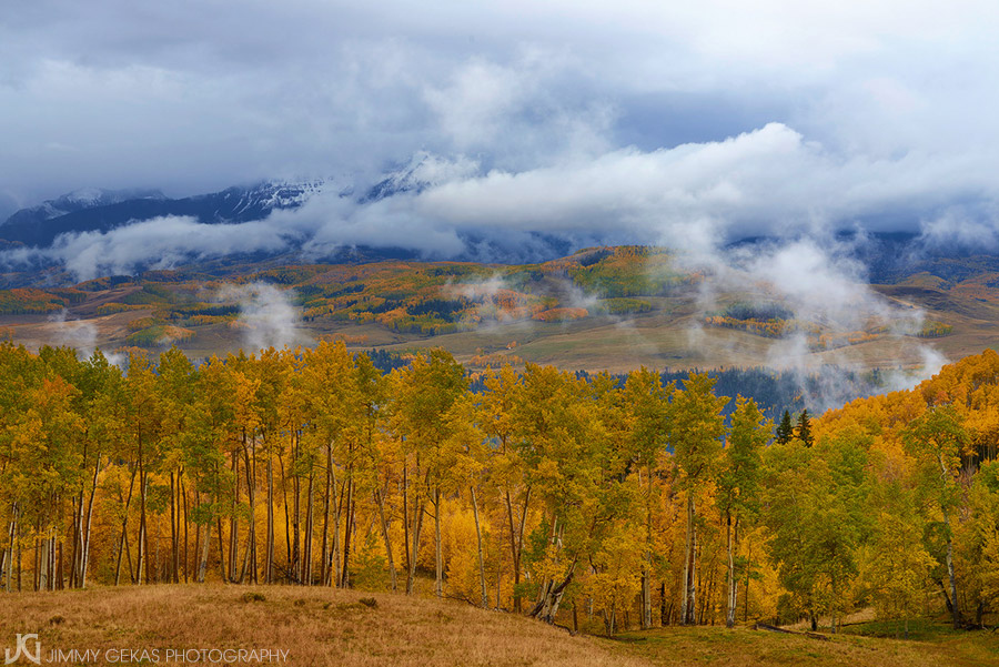 aspen, fall, autumn, Colorado