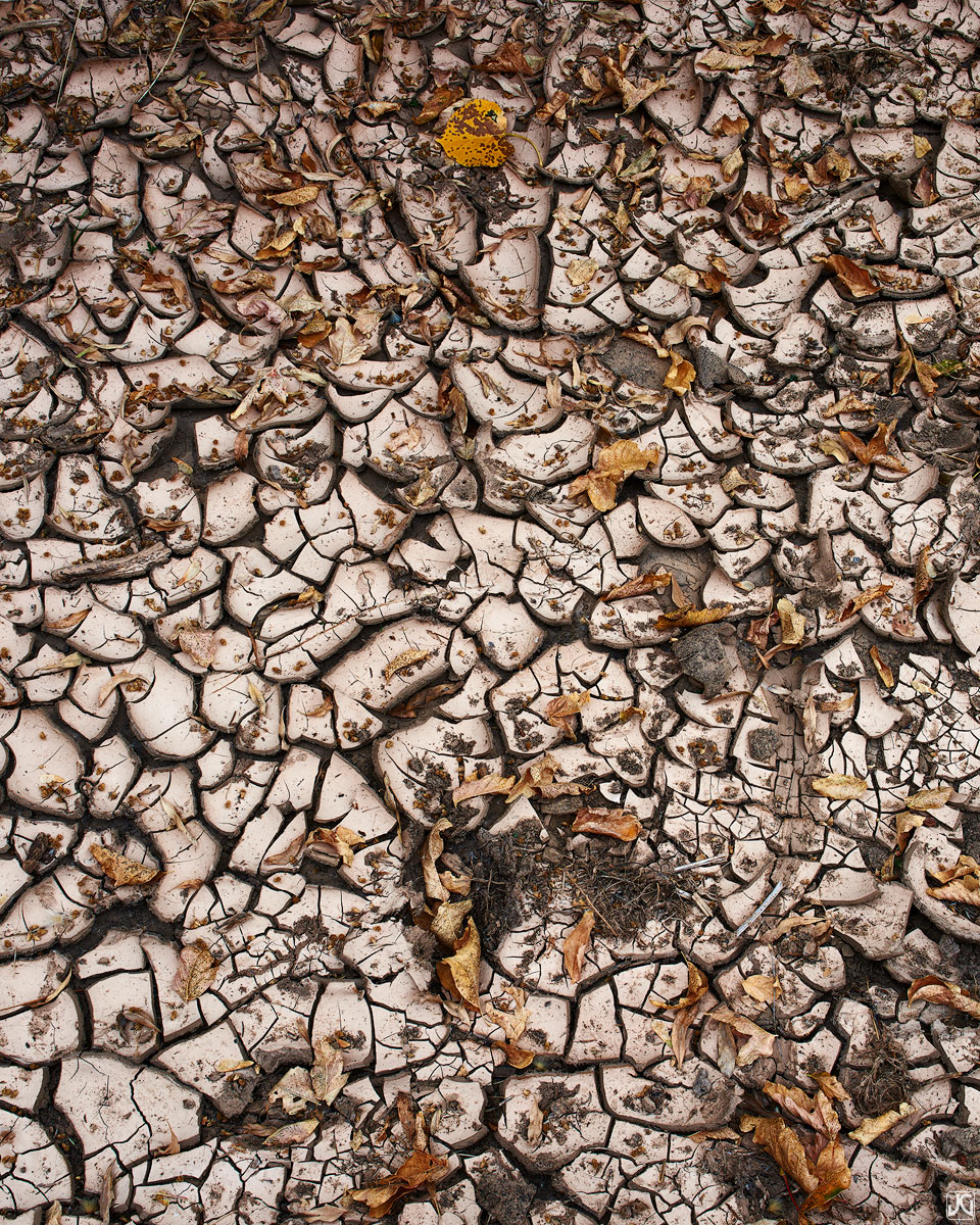 Autumn leaves and debris are spread amongst the mud cracks along the Virgin River.