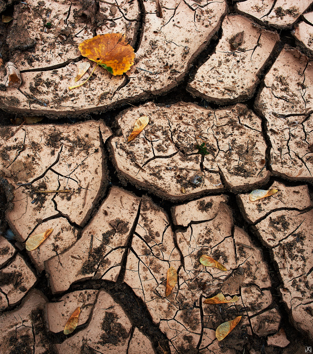 Mud cracks and hints of autumn along a stream bed.