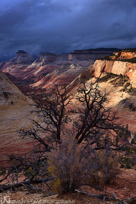 Utah, Zion, fall, autumn