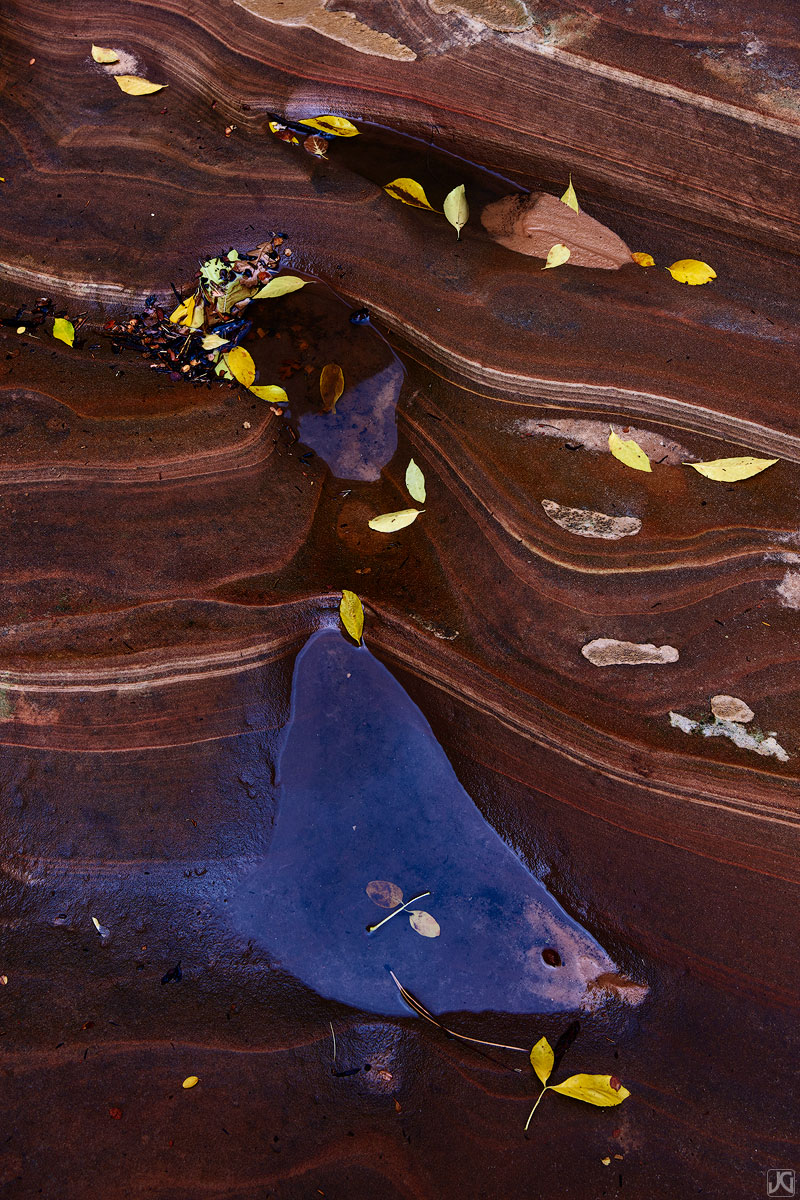 Utah, Zion, fall, autumn