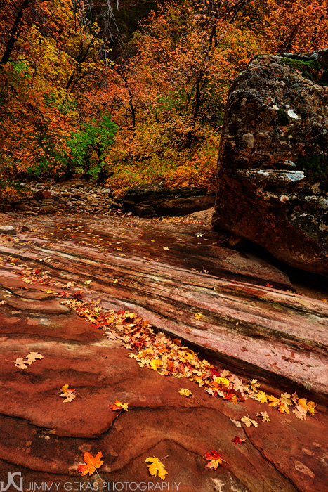 Utah, Zion, fall, autumn