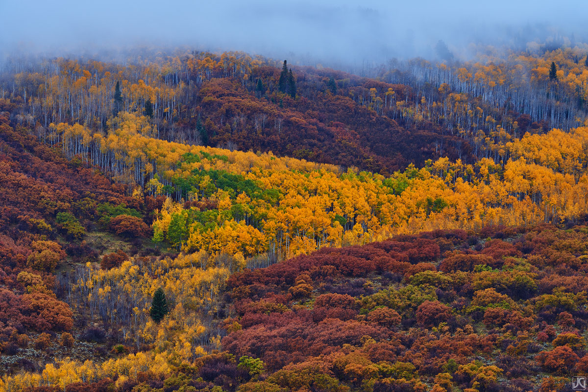 Morning fog mix with aspen trees and scrub oak, displaying layers and layers of peak autumn color.