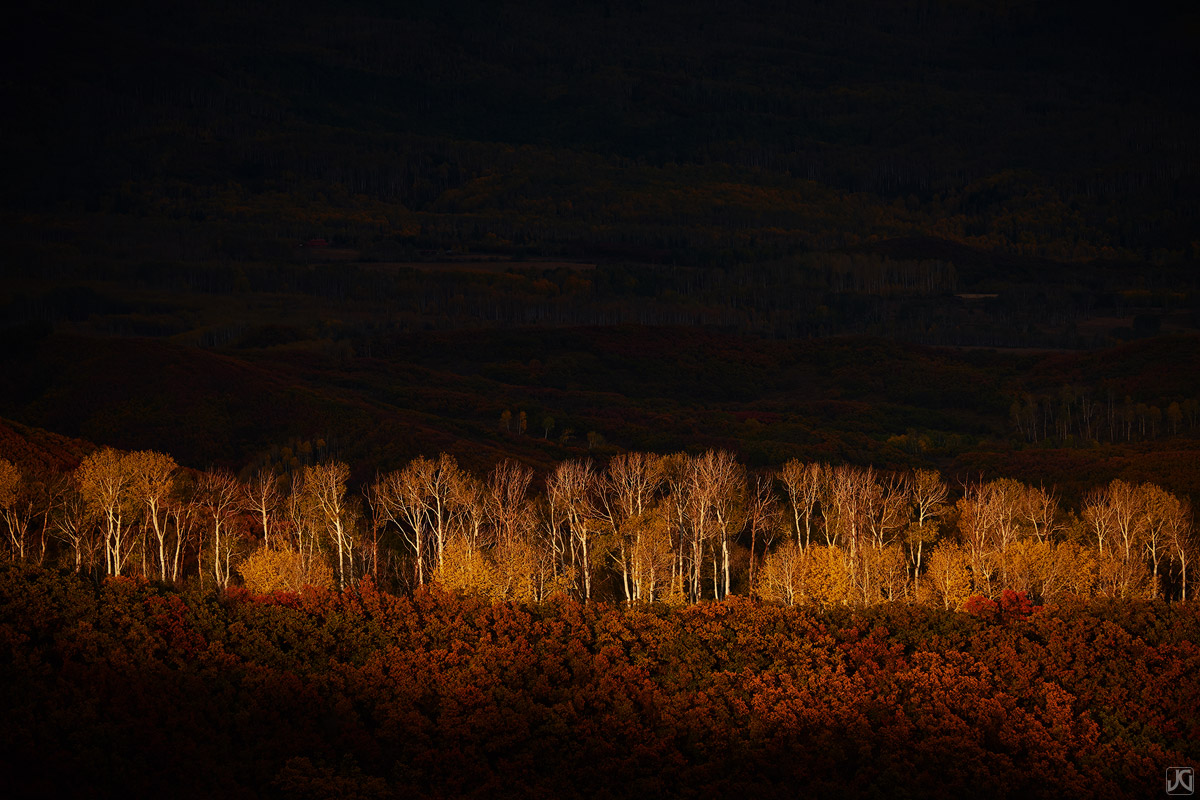 A break in the clouds illuminates these aspen trees on a stormy autumn afternoon.