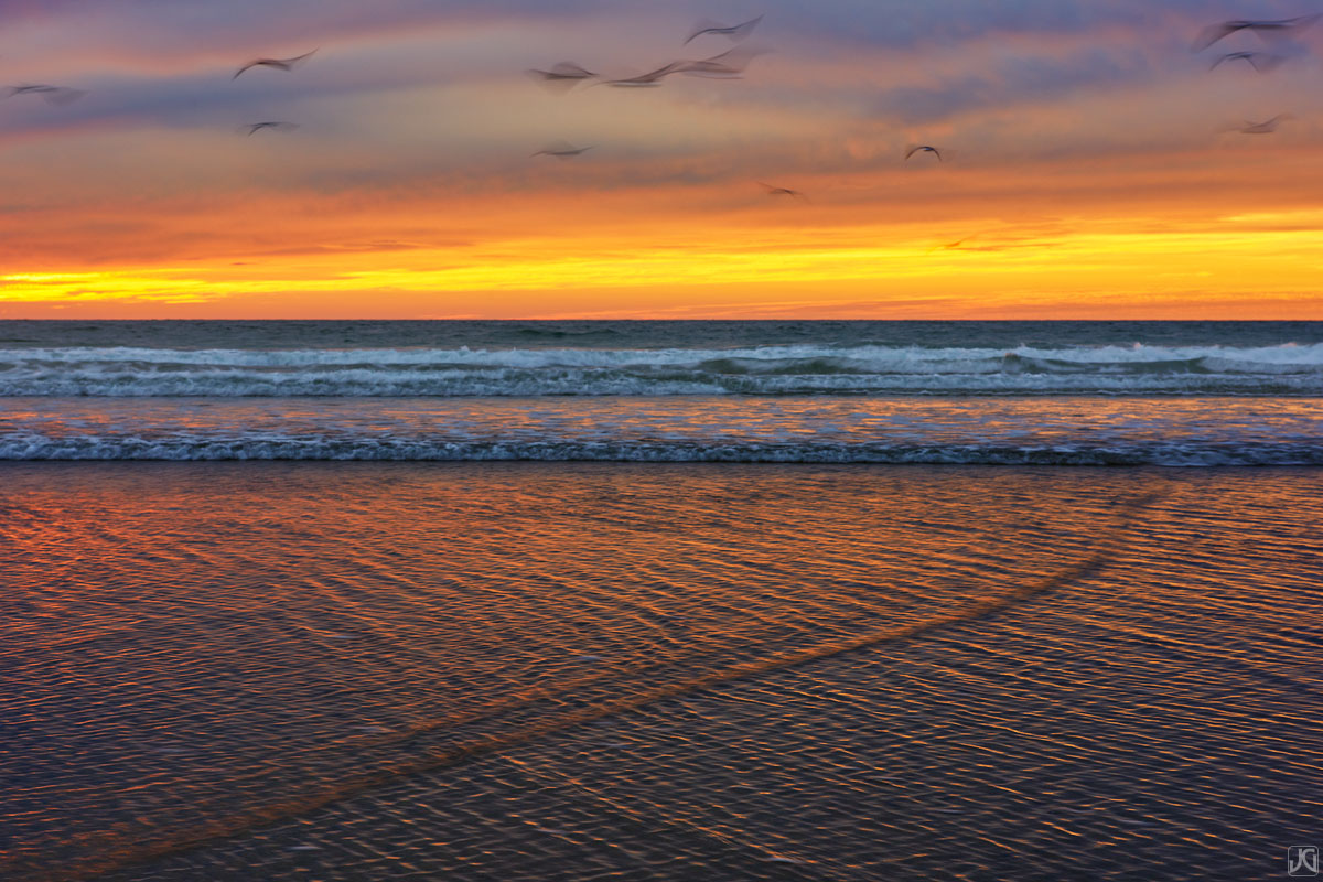 Low tide at sunset along the coast of San Diego is such an alluring thing. I head down to the beach whenever I can and just soak...